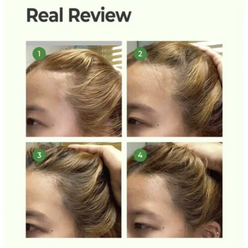 [Daeng Gi Meo Ri] Ki Gold Premium Shampoo (2 Tamaños) - Imagen 3